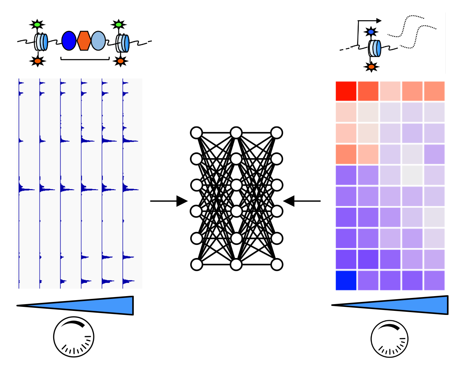 Machine learning to decode gene regulatory mechanisms